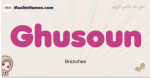 Ghusoun muslim girls name and meaning, islamic girls name Ghusoun