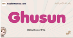 Ghusun muslim girls name and meaning, islamic girls name Ghusun