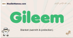 Gileem muslim boys name and meaning, islamic boys name Gileem