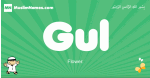 Gul arabic boys name and meaning, quranic boys name Gul