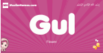 Gul arabic girls name and meaning, quranic girls name Gul