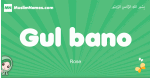Gul-bano arabic girl name and meaning, quranic girls name Gul-bano