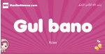 Gul-bano arabic girls name and meaning, muslim girl name Gul-bano