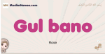 Gul-bano muslim girls name and meaning, islamic girls name Gul-bano