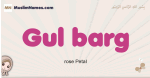 Gul-barg muslim girls name and meaning, islamic girls name Gul-barg