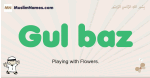 Gul-baz muslim boys name and meaning, islamic boys name Gul-baz