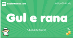 Gul-e-rana arabic boys name and meaning, quranic boys name Gul-e-rana