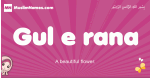 Gul-e-rana arabic girls name and meaning, quranic girls name Gul-e-rana