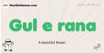 Gul-e-rana muslim boys name and meaning, islamic boys name Gul-e-rana