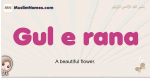Gul-e-rana muslim girls name and meaning, islamic girls name Gul-e-rana