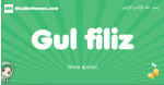 Gul-filiz arabic girl name and meaning, quranic girls name Gul-filiz