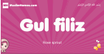 Gul-filiz arabic girls name and meaning, muslim girl name Gul-filiz