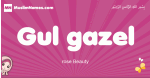 Gul-gazel arabic girls name and meaning, muslim girl name Gul-gazel