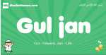 Gul-jan arabic boys name and meaning, quranic boys name Gul-jan