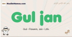 Gul-jan muslim boys name and meaning, islamic boys name Gul-jan