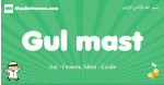 Gul-mast arabic boys name and meaning, quranic boys name Gul-mast