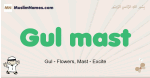 Gul-mast muslim boys name and meaning, islamic boys name Gul-mast