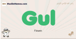 Gul muslim boys name and meaning, islamic boys name Gul