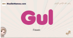 Gul muslim girls name and meaning, islamic girls name Gul
