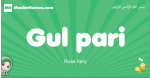 Gul-pari arabic girl name and meaning, quranic girls name Gul-pari