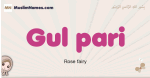 Gul-pari muslim girls name and meaning, islamic girls name Gul-pari