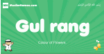 Gul-rang arabic boys name and meaning, quranic boys name Gul-rang