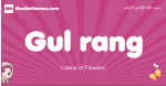 Gul-rang arabic girls name and meaning, quranic girls name Gul-rang