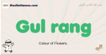 Gul-rang muslim boys name and meaning, islamic boys name Gul-rang