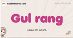 Gul-rang muslim girls name and meaning, islamic girls name Gul-rang