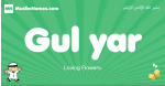 Gul-yar arabic boys name and meaning, quranic boys name Gul-yar