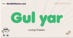 Gul-yar muslim boys name and meaning, islamic boys name Gul-yar