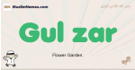 Gul-zar muslim boys name and meaning, islamic boys name Gul-zar
