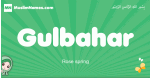 Gulbahar arabic girl name and meaning, quranic girls name Gulbahar