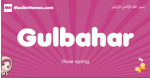 Gulbahar arabic girls name and meaning, muslim girl name Gulbahar