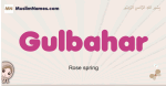 Gulbahar muslim girls name and meaning, islamic girls name Gulbahar