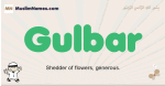 Gulbar muslim boys name and meaning, islamic boys name Gulbar