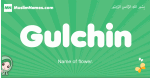 Gulchin arabic girl name and meaning, quranic girls name Gulchin