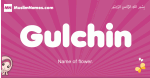 Gulchin arabic girls name and meaning, muslim girl name Gulchin