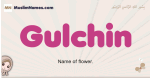 Gulchin muslim girls name and meaning, islamic girls name Gulchin