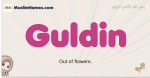 Guldin muslim girls name and meaning, islamic girls name Guldin