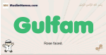 Gulfam muslim boys name and meaning, islamic boys name Gulfam