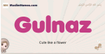 Gulnaz muslim girls name and meaning, islamic girls name Gulnaz