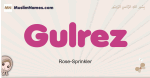 Gulrez muslim girls name and meaning, islamic girls name Gulrez
