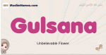 Gulsana muslim girls name and meaning, islamic girls name Gulsana