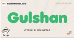 Gulshan muslim boys name and meaning, islamic boys name Gulshan