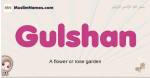 Gulshan muslim girls name and meaning, islamic girls name Gulshan