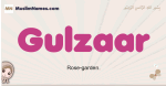 Gulzaar muslim girls name and meaning, islamic girls name Gulzaar