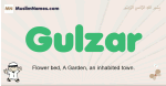Gulzar muslim boys name and meaning, islamic boys name Gulzar
