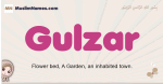 Gulzar muslim girls name and meaning, islamic girls name Gulzar