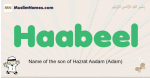 Haabeel muslim boys name and meaning, islamic boys name Haabeel